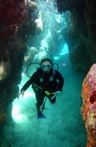 Beveridge Reef